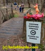 /home//u458753944/public_html/sourcegallery//////////////////////////////////////////////////////////Chickens/Valley Forge/IMG_20210102_105137035_HDR.jpg